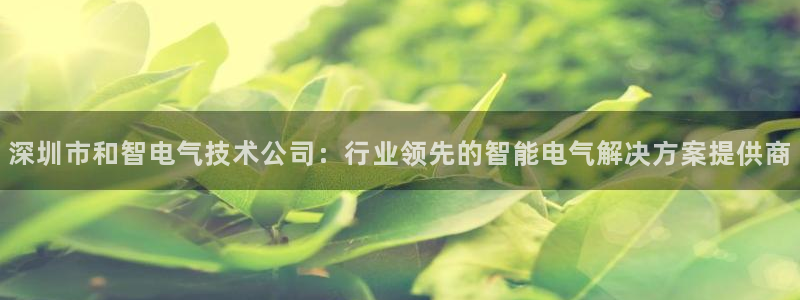 凯发k8官方旗舰店app：深圳市和智电气技术公司：